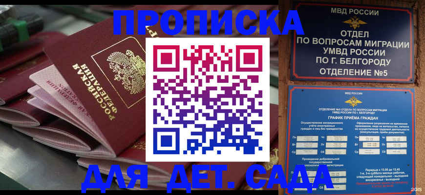 прописка 2025 в Димитровграде